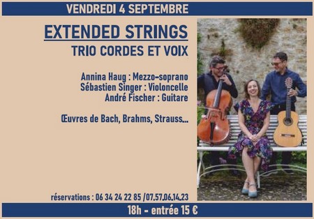 20260904 extended strings